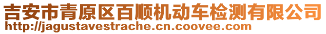 吉安市青原區(qū)百順機(jī)動(dòng)車檢測有限公司