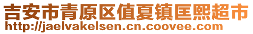 吉安市青原區(qū)值夏鎮(zhèn)匡熙超市