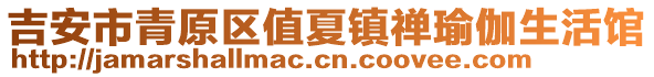 吉安市青原區(qū)值夏鎮(zhèn)禪瑜伽生活館