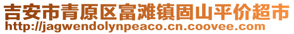 吉安市青原區(qū)富灘鎮(zhèn)固山平價超市