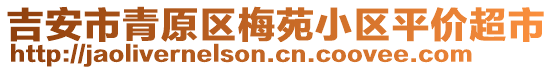 吉安市青原區(qū)梅苑小區(qū)平價(jià)超市