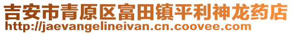 吉安市青原區(qū)富田鎮(zhèn)平利神龍藥店