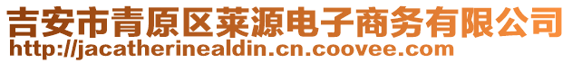 吉安市青原區萊源電子商務有限公司