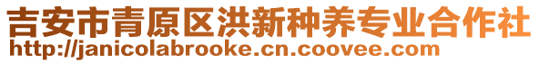 吉安市青原區(qū)洪新種養(yǎng)專業(yè)合作社