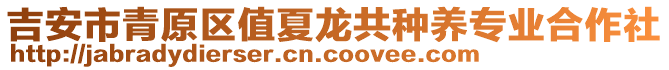 吉安市青原區(qū)值夏龍共種養(yǎng)專業(yè)合作社