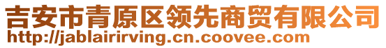 吉安市青原區(qū)領先商貿有限公司