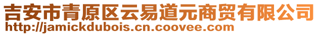 吉安市青原區(qū)云易道元商貿有限公司