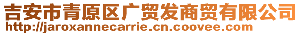 吉安市青原區(qū)廣貿(mào)發(fā)商貿(mào)有限公司