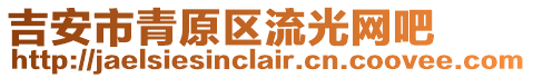 吉安市青原區(qū)流光網(wǎng)吧