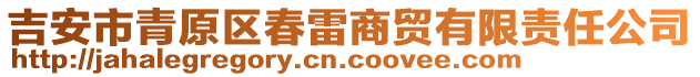 吉安市青原區(qū)春雷商貿(mào)有限責(zé)任公司