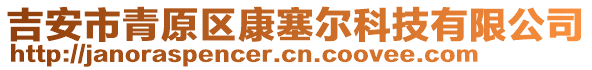 吉安市青原區(qū)康塞爾科技有限公司