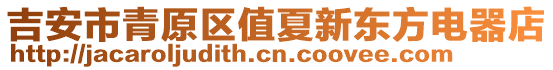 吉安市青原區(qū)值夏新東方電器店