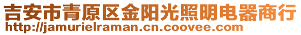 吉安市青原區(qū)金陽(yáng)光照明電器商行