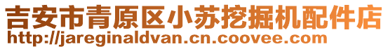 吉安市青原區(qū)小蘇挖掘機配件店