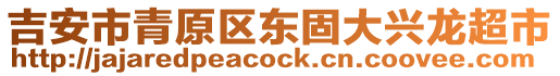 吉安市青原區東固大興龍超市