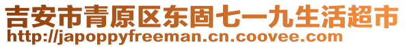 吉安市青原區(qū)東固七一九生活超市