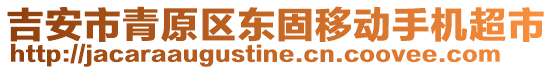 吉安市青原區(qū)東固移動手機超市