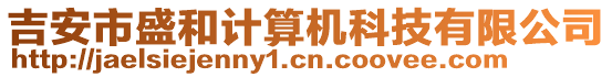 吉安市盛和計算機科技有限公司