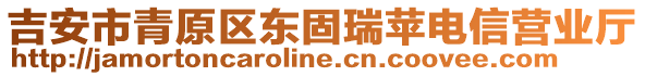 吉安市青原區(qū)東固瑞蘋電信營業(yè)廳