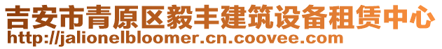 吉安市青原區(qū)毅豐建筑設(shè)備租賃中心