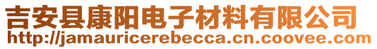 吉安縣康陽電子材料有限公司