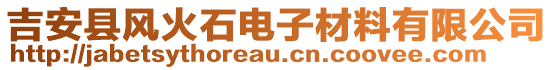 吉安縣風(fēng)火石電子材料有限公司