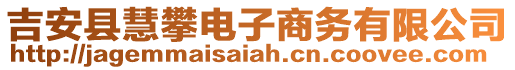 吉安县慧攀电子商务有限公司