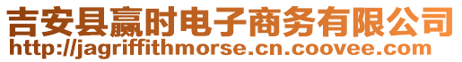 吉安縣贏時電子商務(wù)有限公司