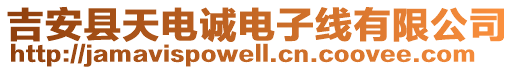 吉安县天电诚电子线有限公司