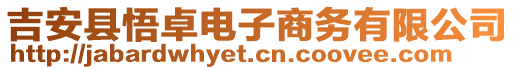 吉安縣悟卓電子商務(wù)有限公司