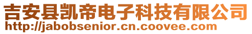 吉安縣凱帝電子科技有限公司