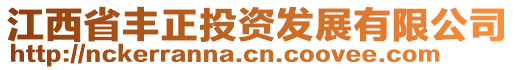 江西省豐正投資發(fā)展有限公司