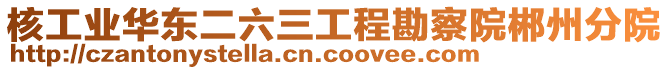 核工業(yè)華東二六三工程勘察院郴州分院