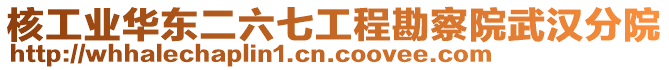 核工業(yè)華東二六七工程勘察院武漢分院