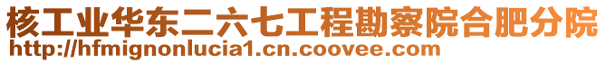 核工業(yè)華東二六七工程勘察院合肥分院