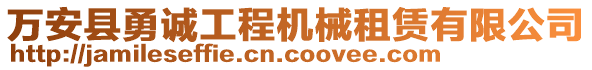 万安县勇诚工程机械租赁有限公司