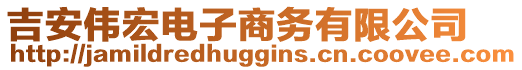 吉安偉宏電子商務(wù)有限公司