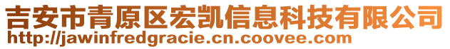 吉安市青原區(qū)宏凱信息科技有限公司