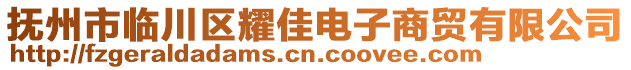 撫州市臨川區(qū)耀佳電子商貿(mào)有限公司