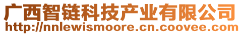 廣西智鏈科技產(chǎn)業(yè)有限公司