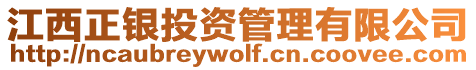 江西正銀投資管理有限公司