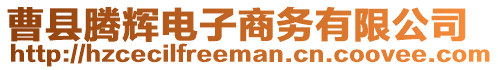 曹縣騰輝電子商務(wù)有限公司