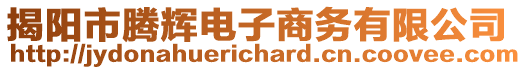 揭陽市騰輝電子商務(wù)有限公司