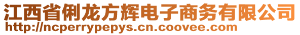 江西省俐龍方輝電子商務有限公司