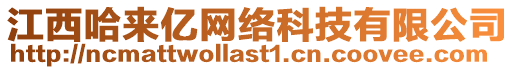 江西哈來(lái)億網(wǎng)絡(luò)科技有限公司