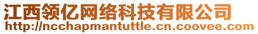 江西領(lǐng)億網(wǎng)絡(luò)科技有限公司