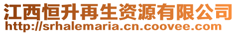 江西恒升再生資源有限公司