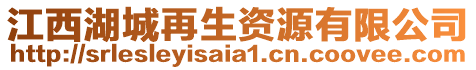 江西湖城再生資源有限公司