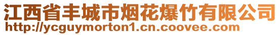 江西省豐城市煙花爆竹有限公司