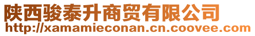 陜西駿泰升商貿(mào)有限公司